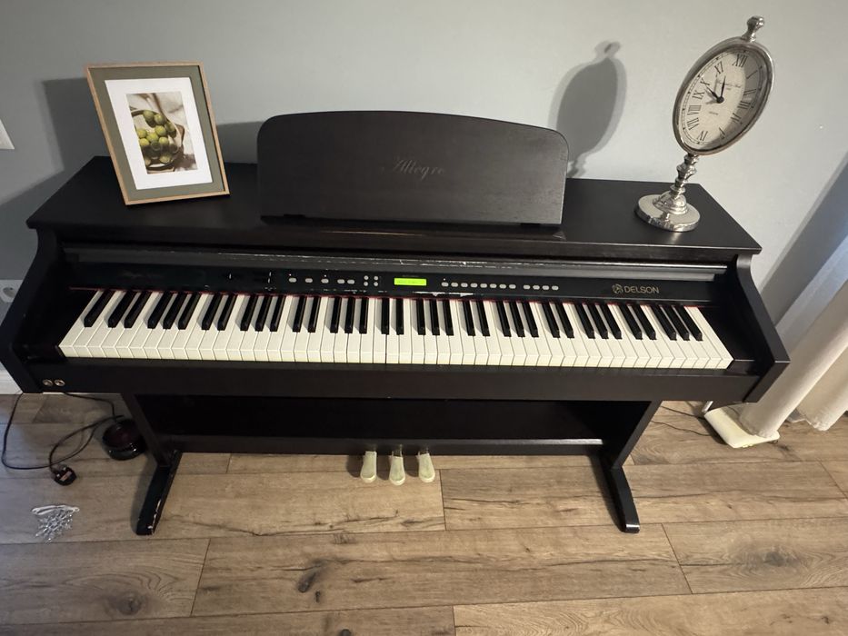 Pian electric  digital  Alegro 8865