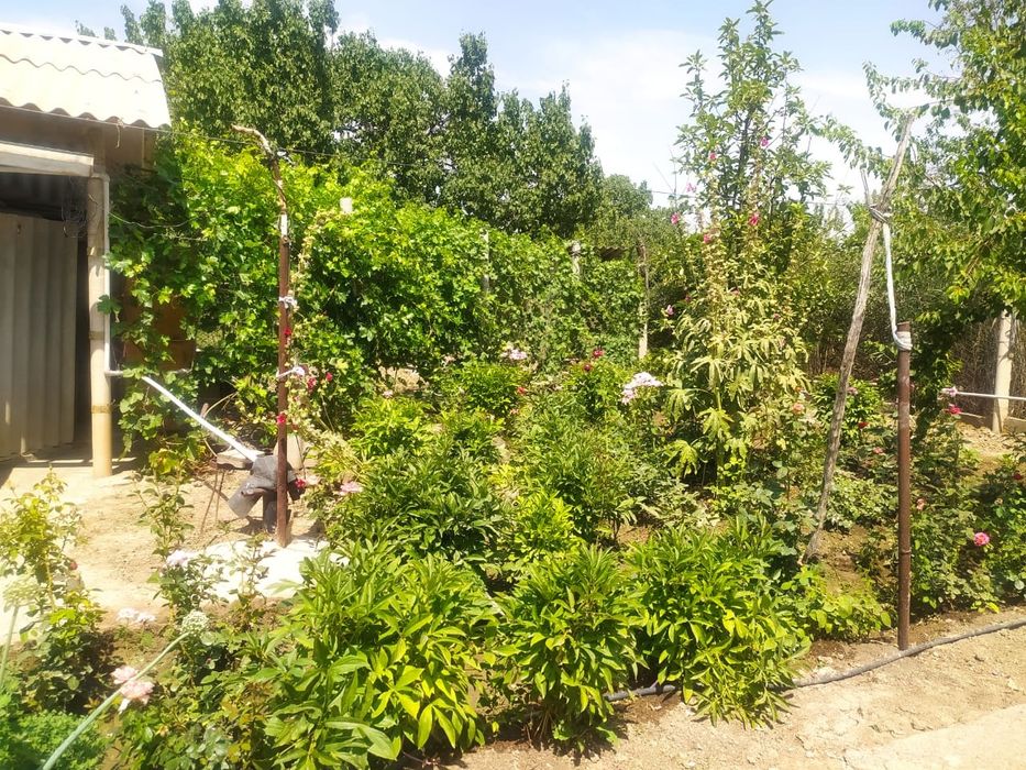 Продается дом участок 12 соток