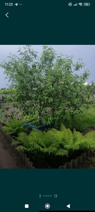 Продам дачу СО Железобетонщик