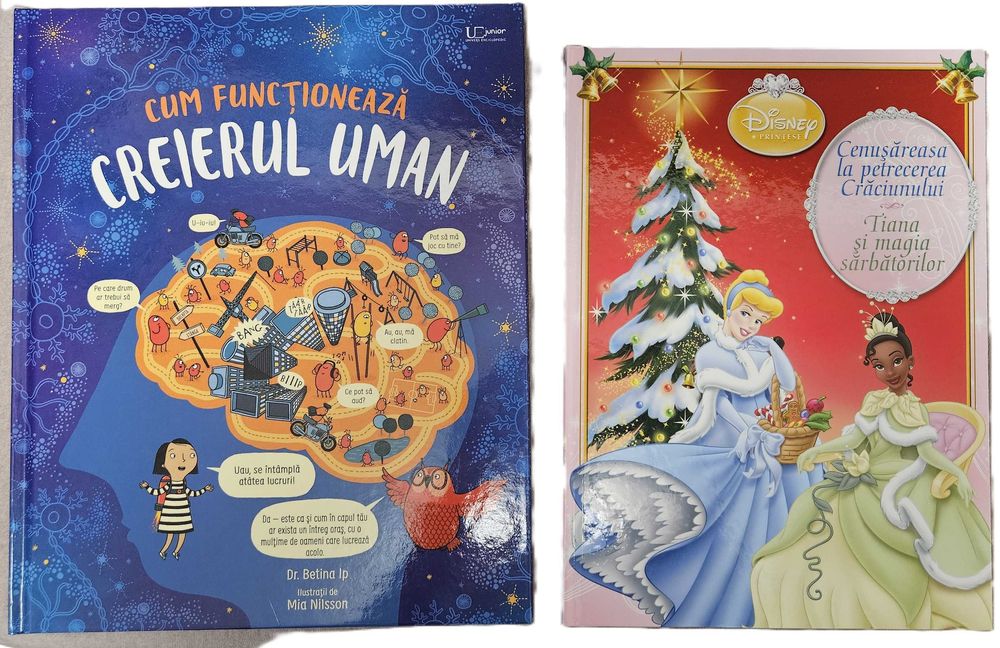 carti pentru cititori incepatori - copii