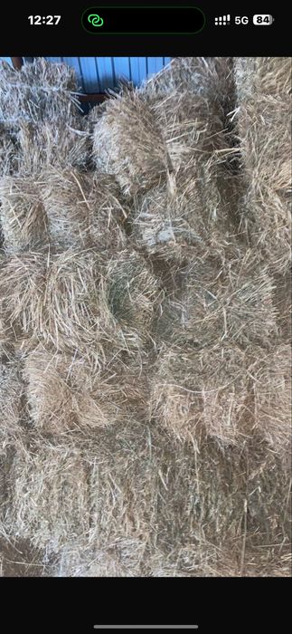 Сена экспарсет с натуральными травами