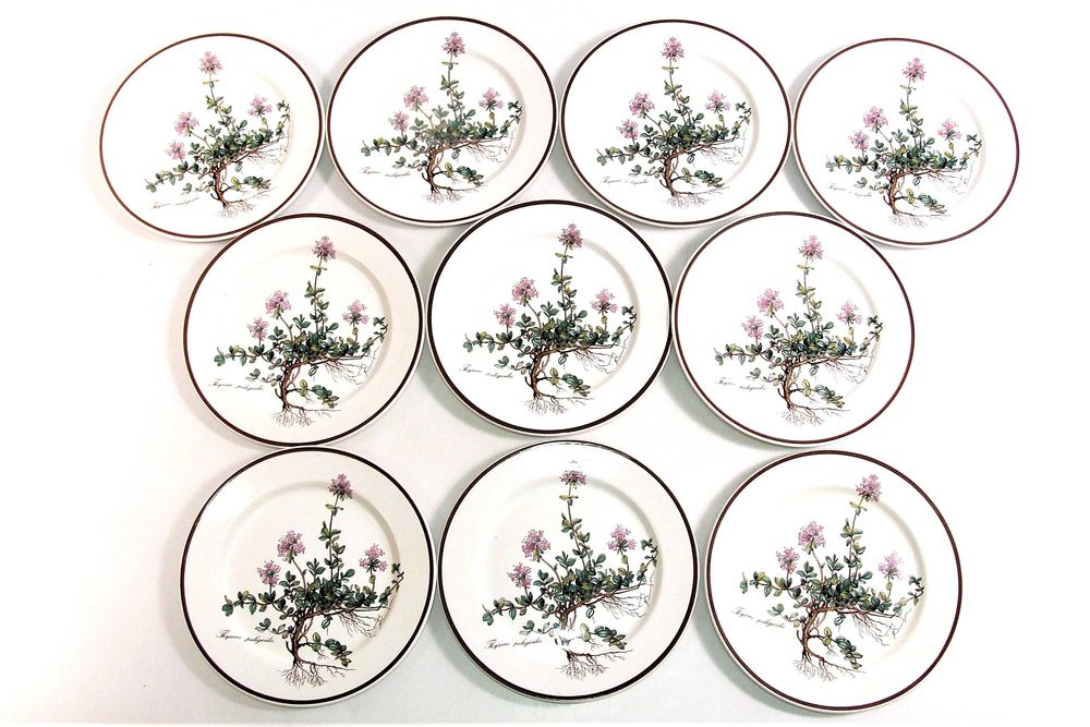 Set 10 Farfurii Botanica Villeroy & Boch pictate flori de cimbru, NOU