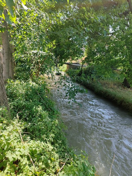 Qulay joydan yer sotiladi