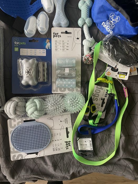 Кучешки комплект - всичко необходимо за малкото куче