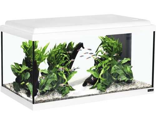Acvariu Aquatlantis Advance LED 60 – 54L, complet echipat
