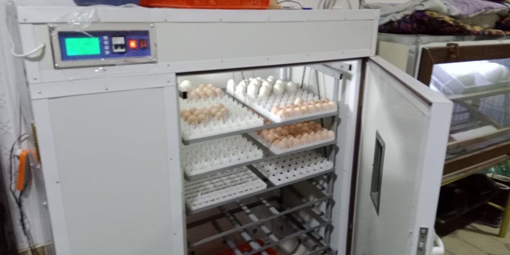 Продам Инкубатор 1056 талик