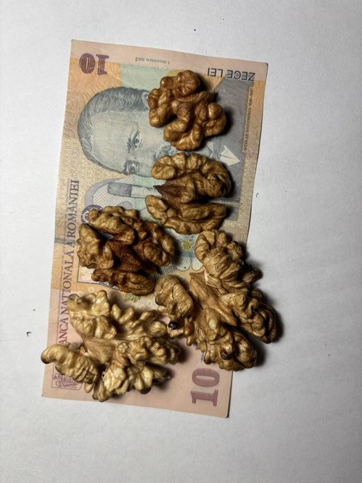 Nuci soiul Prezident