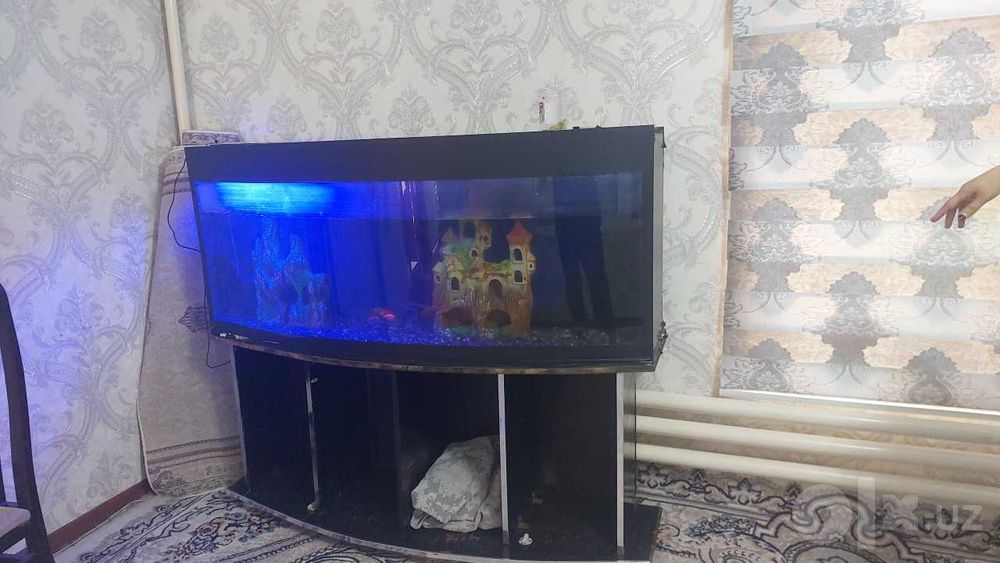 Аквариум  буйи 65 см узунлиги 160см эни 40 см