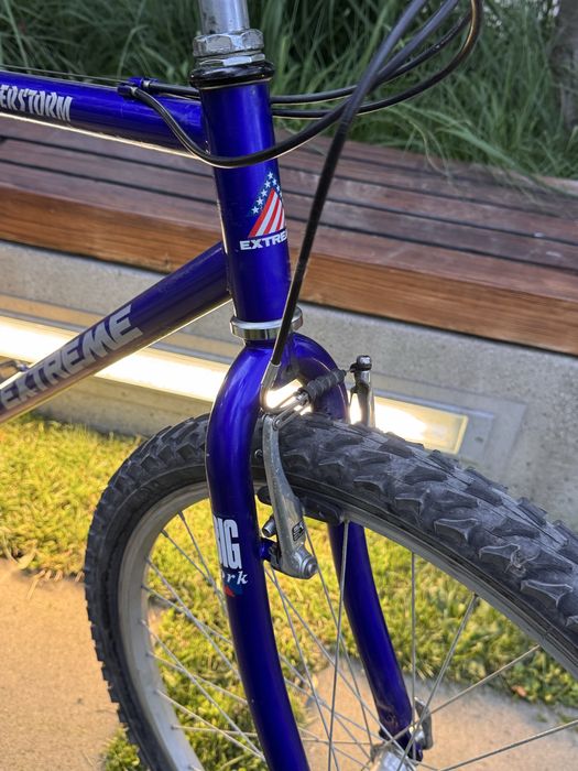 Bicicleta Thunderstorm Extreme Cromoly 26” anii 90