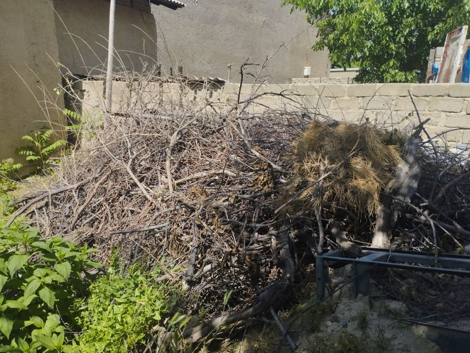 Продаются дрова.