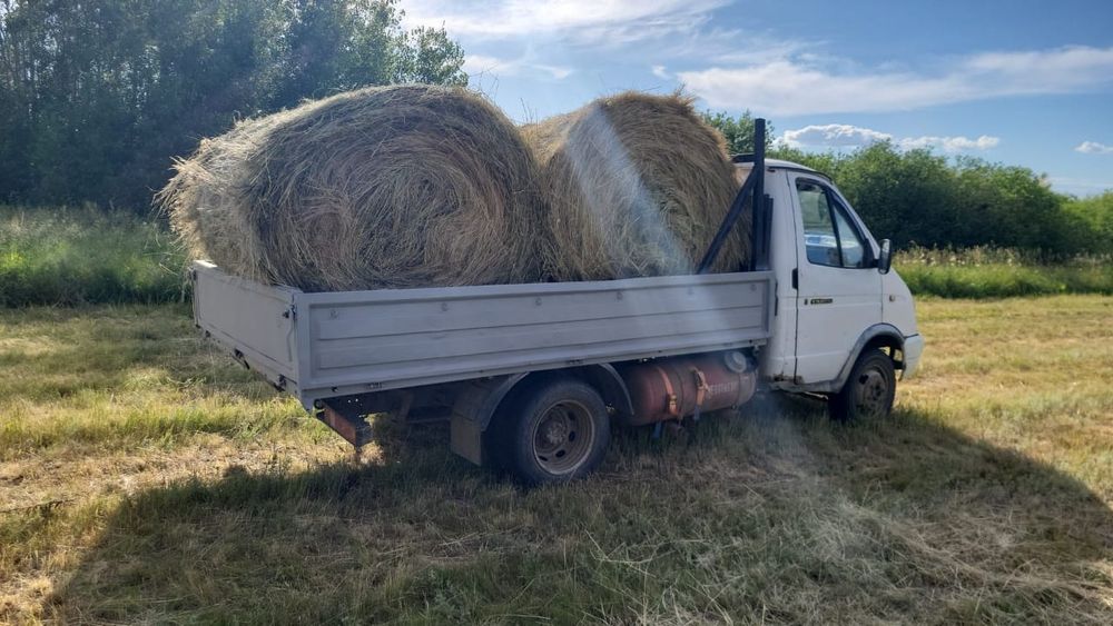 Сено в рулонах разнотравье