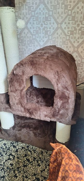 Многоэтажный дом для кошек