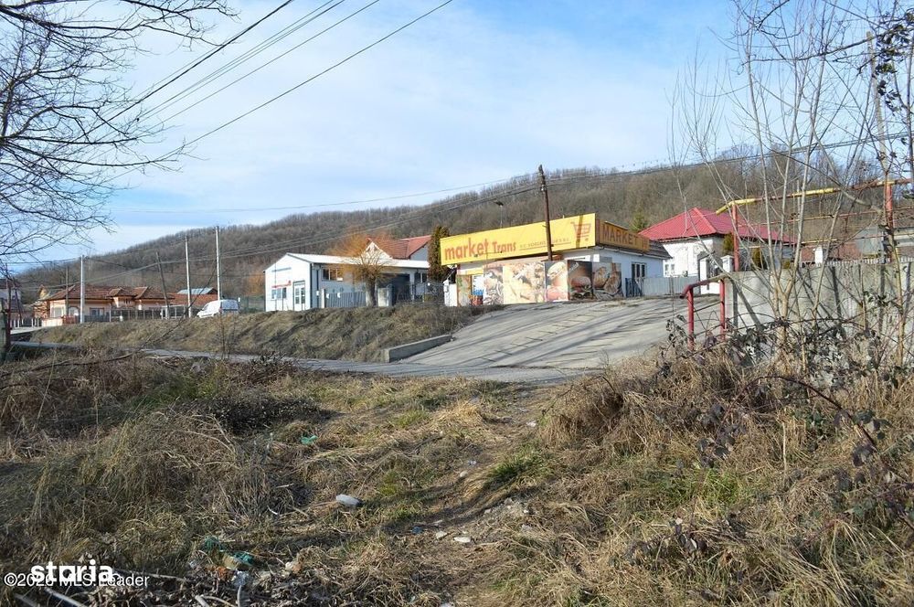 Valea Ursului - DN 7, Teren Stradal 2744 mp