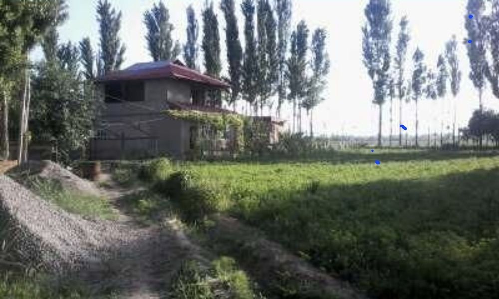 Земля Ер сотилади 41 сотих