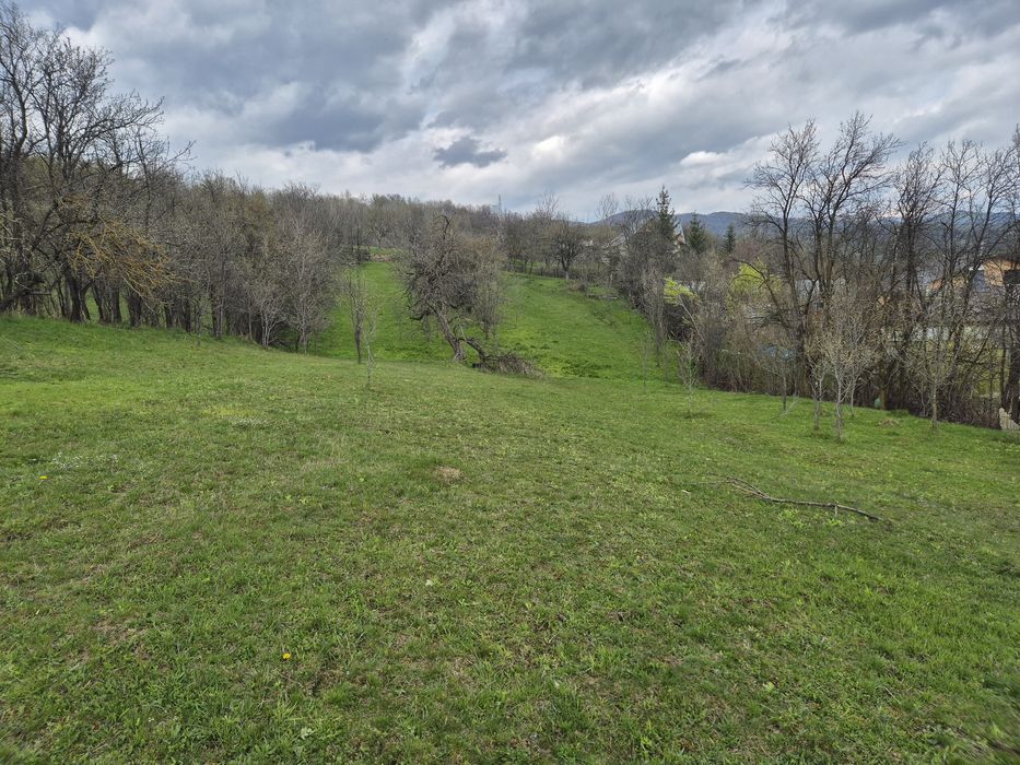 TEREN INTRAVILAN + AUTORIZAȚIE + LIVADĂ – 4.663 mp – Drajna, Făget, Prahova