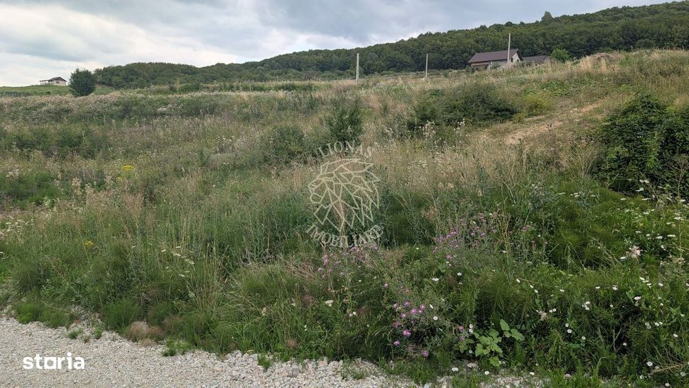 Teren 1000 mp cu utilitati-ideal casa, cabana, investitie-Dealul Jelne