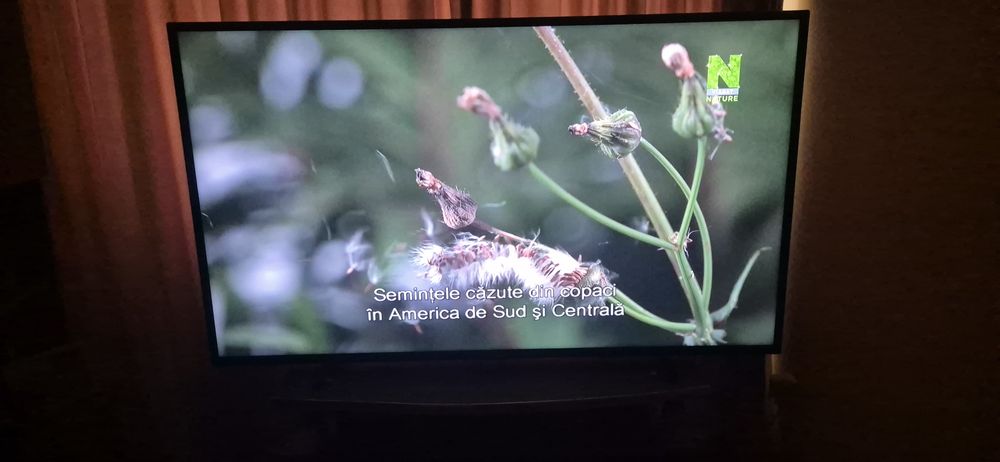 Smart tv Philips, 55 inch