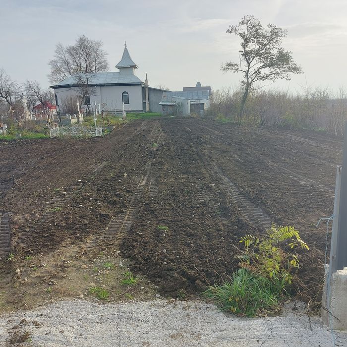 Prestări servicii