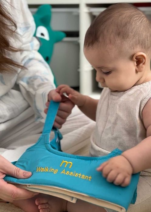 Lichidare de stoc - Ham Premergător