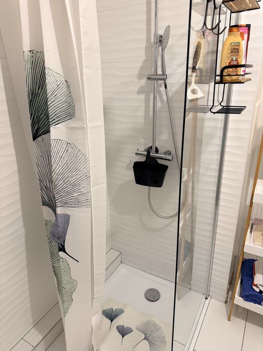 Închiriez apartament mobilat în Strasbourg la doua studente