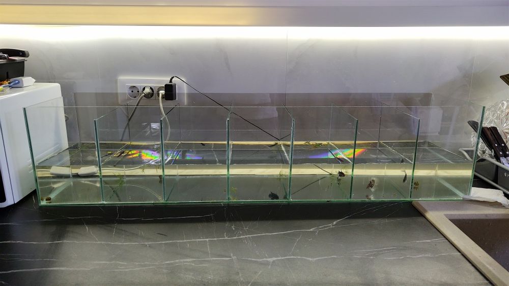 Acvariu cu pesti 54L plante scoici pesti cioata substrat led capac