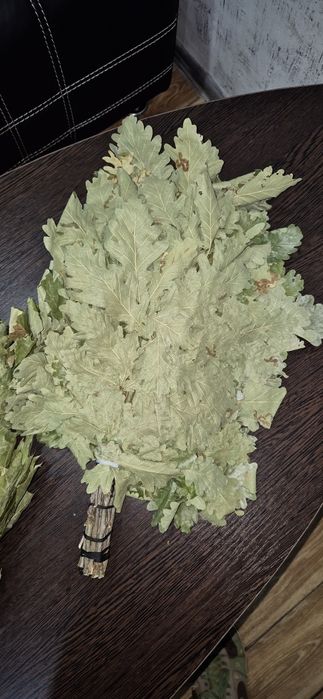 Веники банные, дубовые