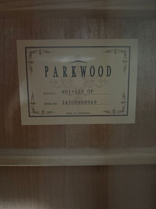 Гитара Darkwoord