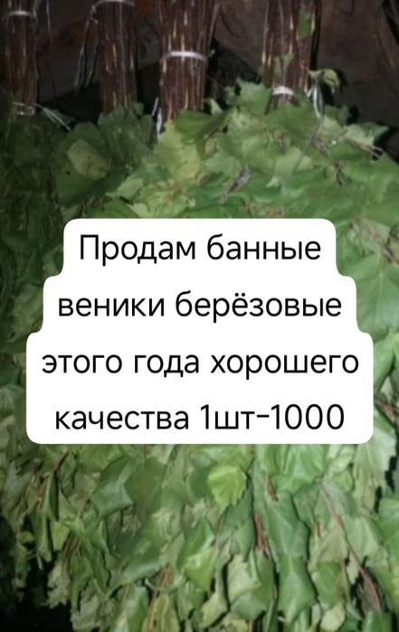 Продам банные веники
