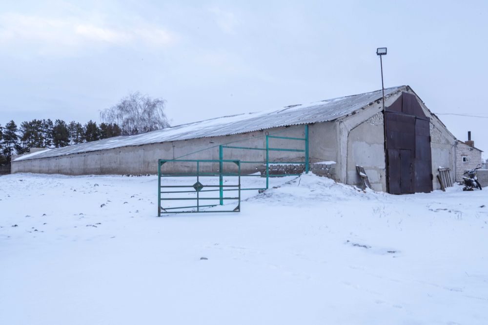 Продажа здания в поселке Новоселовка