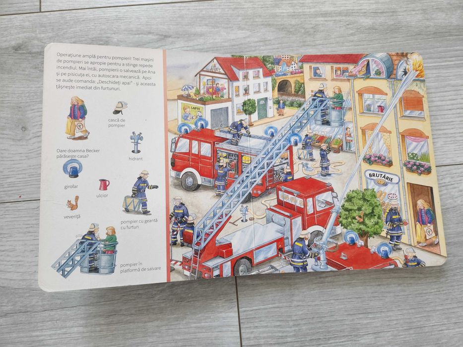 Carte Cauta si gaseste editura Casa