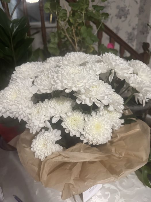 Продам цветы живые свежие