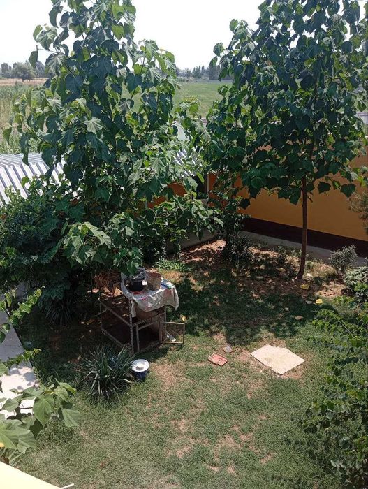 Dacha sotiladi Nurafshonda