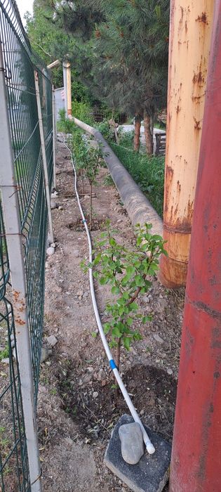 Ер сотилади фуд ситига 2км