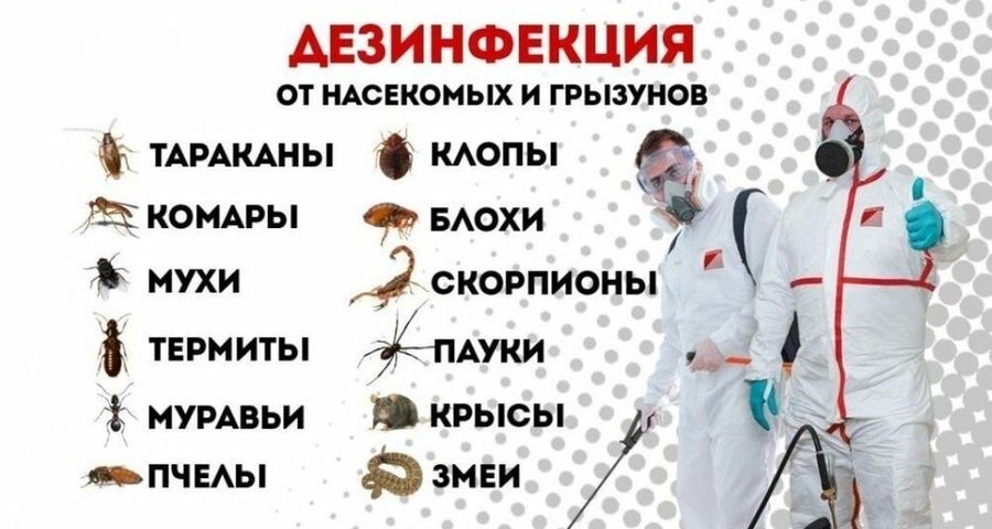 Дезинфекция от клопов. Уничтожение тараканов. Обработка | Dezinfeksiya