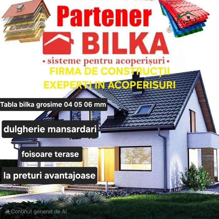 Acoperișuri dulgherie tablă