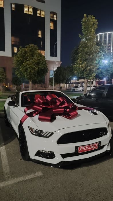 Lenta, avtobantiki, bant бант