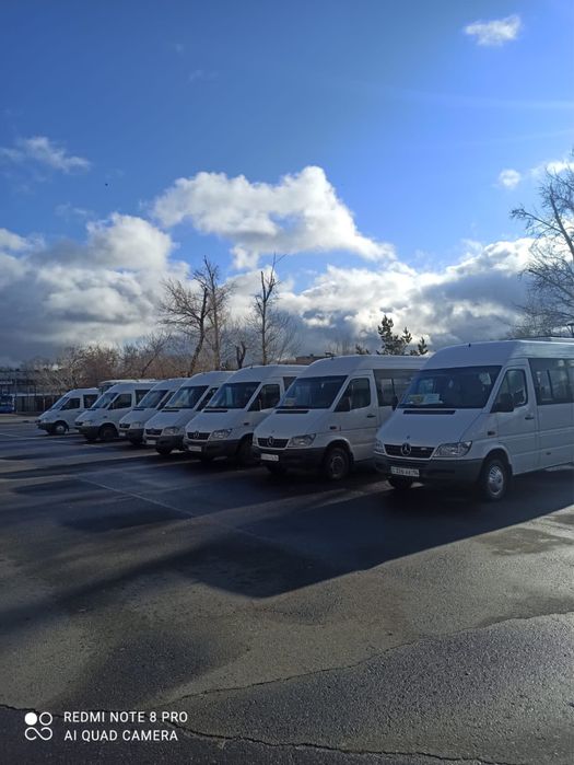 Пассажирские перевозки по городу имеж городу