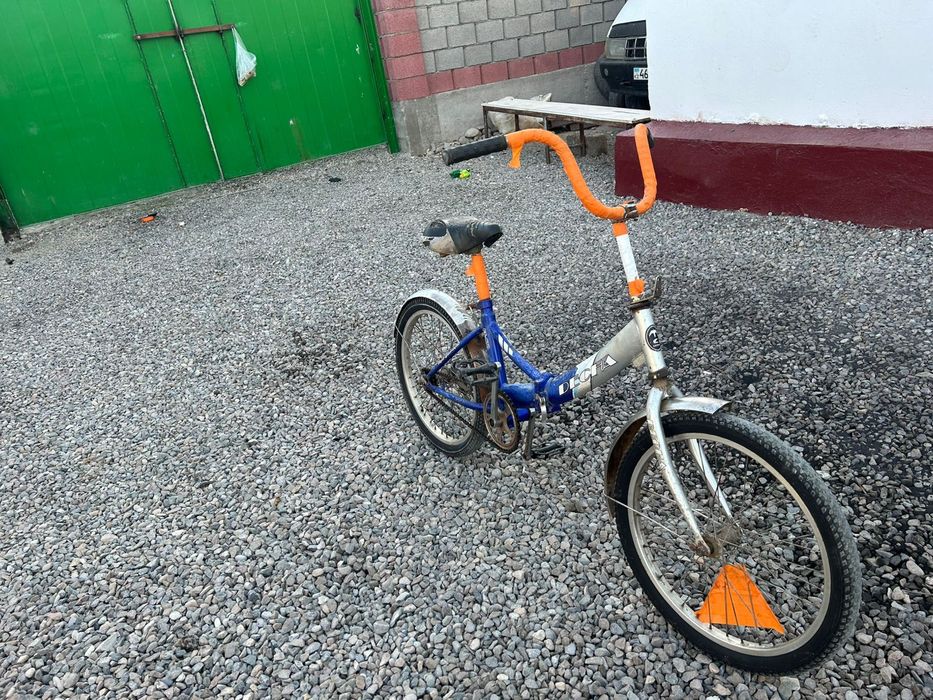 Даусы сапада озим аидагам