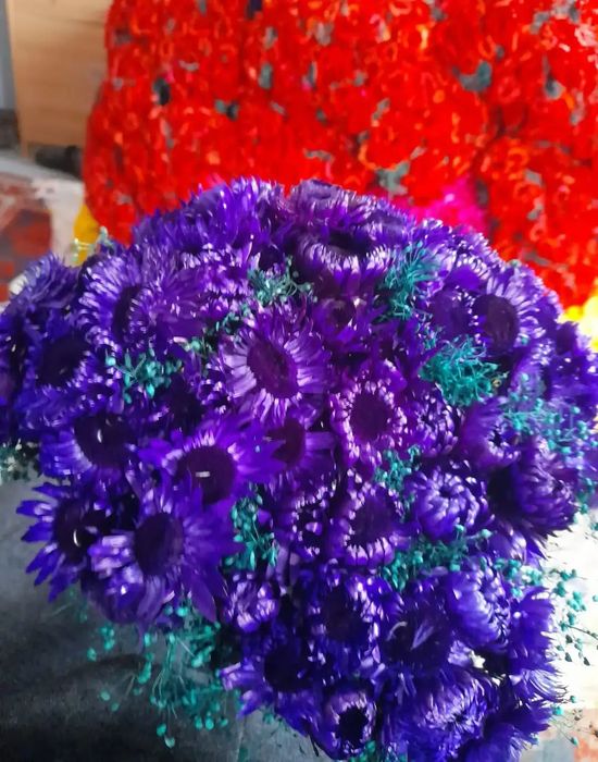 Flori nemuritoare(imortele)