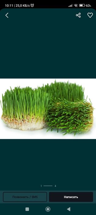 Гидропоника от 500 кг до 5 тон Ундирилган бугдой 500кгдан 5 тоннагача