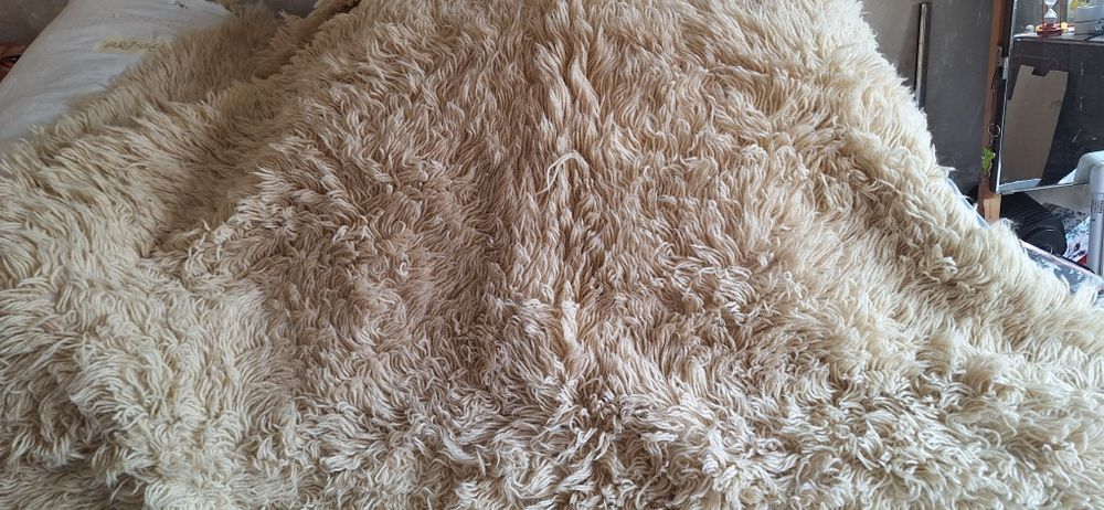 Реснач, китеник, губер