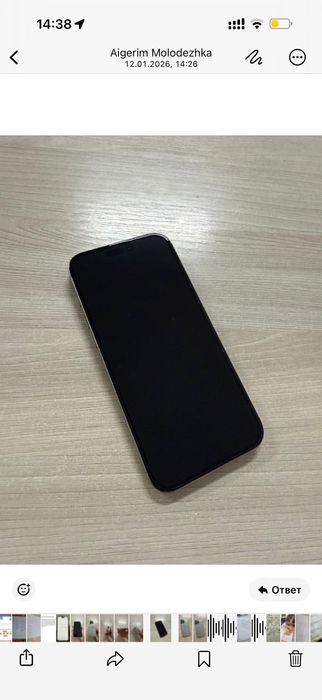 iPhone 16 pro max