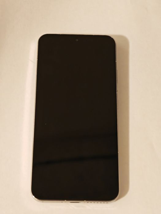 Xiaomi 15 12/256 Silver Edition China