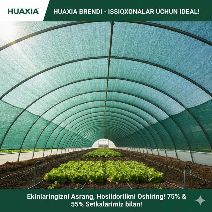 soya setkalari quyosh setka