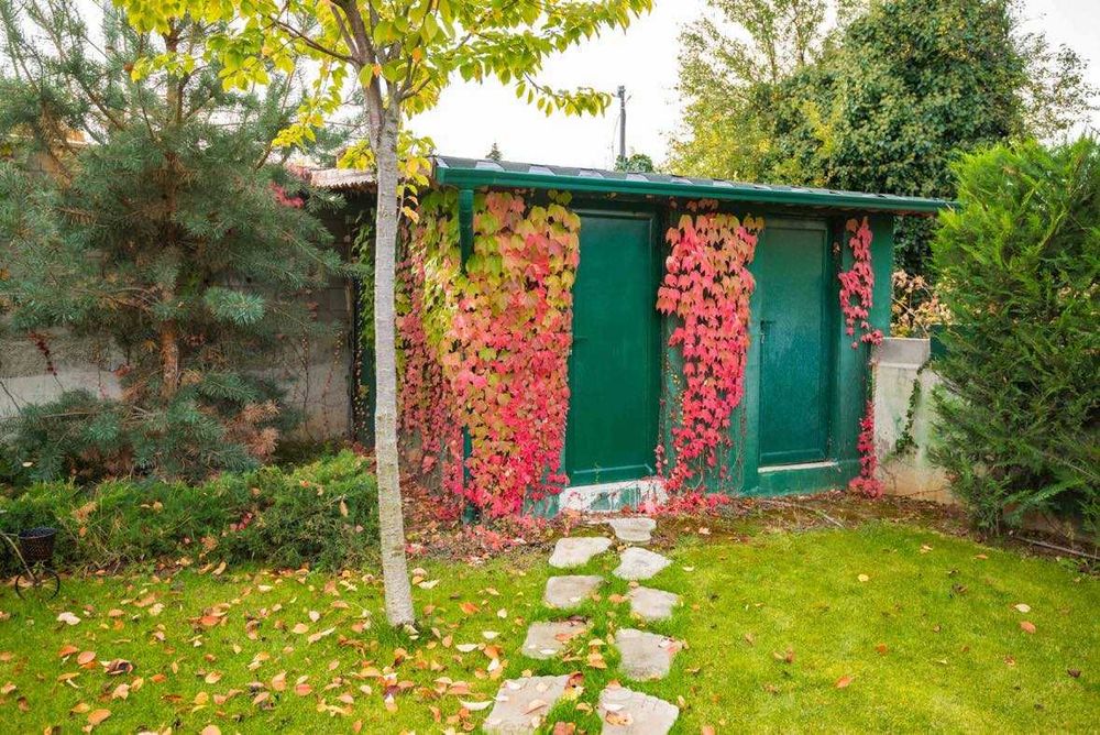 Продава се Къща в Силистра, Римска гробница - 1015 кв.м за 391 €/кв.м - Снимка #5