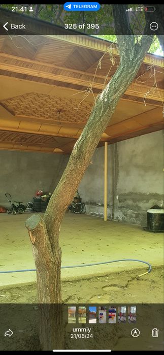 Nazarbek xarakat yer sotiladi 4.3 sotik