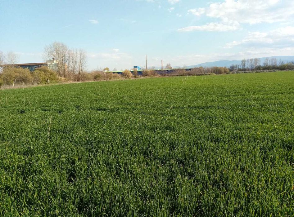 Продава се Земеделски имот в Пловдив, Каменица 1 -  кв.м за 28572 €/дка - Снимка #3