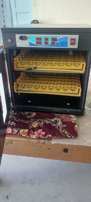 110 talik    Inkubator sotiladi holati yangidek