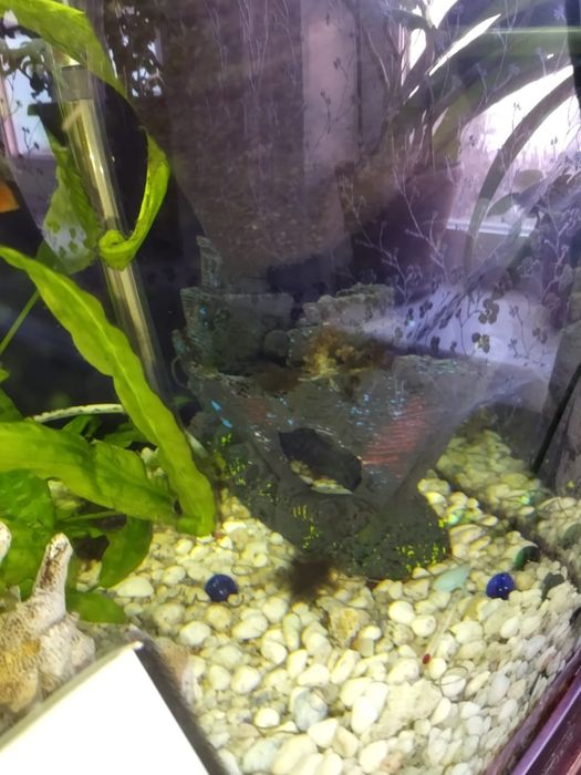 Аквариум с тумбой