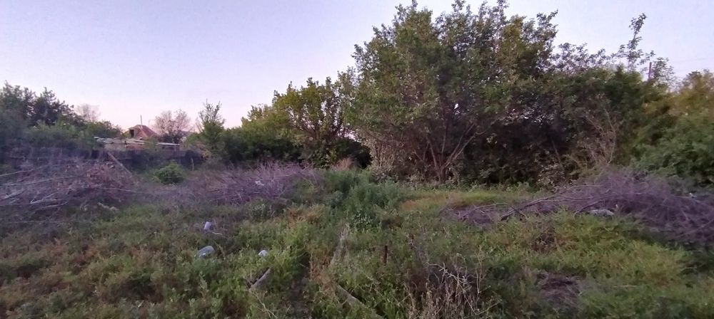 Дача бам продам срочно срочно срочно